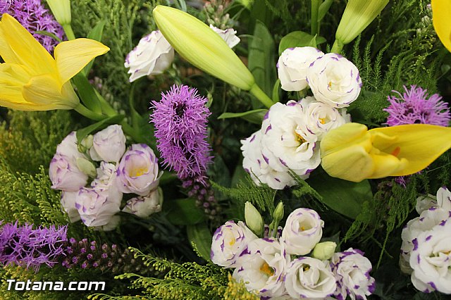 Procesin Las Lomas de La Cruz - El Paretn - 2016 - 10