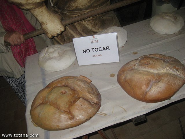 Viaje a Lorca y guilas - Grupo de Mayores de Telefnica - Murcia - 63