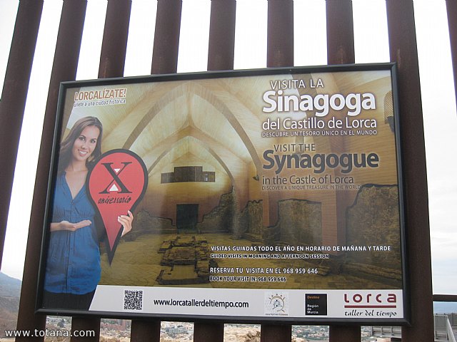 Viaje a Lorca y guilas - Grupo de Mayores de Telefnica - Murcia - 67