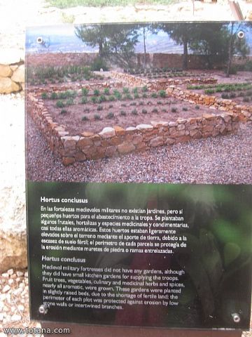 Viaje a Lorca y guilas - Grupo de Mayores de Telefnica - Murcia - 79