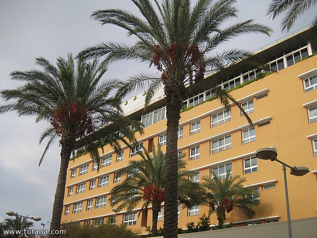 Viaje a Lorca y guilas - Grupo de Mayores de Telefnica - Murcia - 147