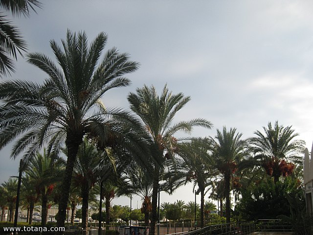 Viaje a Lorca y guilas - Grupo de Mayores de Telefnica - Murcia - 150