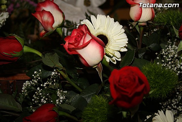 Virgen de Lourdes 2012 - 28