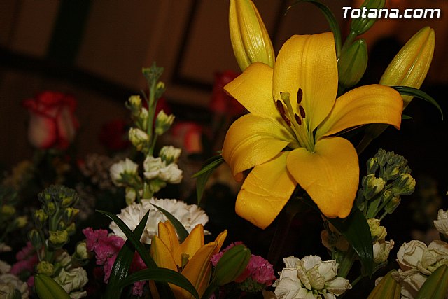 Virgen de Lourdes 2012 - 38