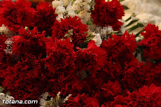 La Hospitalidad vive con devocin el da de Nuestra Seora de Lourdes - 19