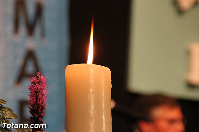 VIII Festival de Coros y Rondallas a beneficio de Lourdes - 178