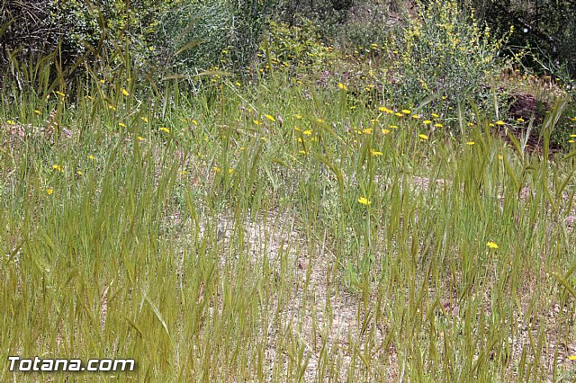 Jornada de convivencia Hermandades y Cofradas - Domingo 19 de abril 2015 - 50