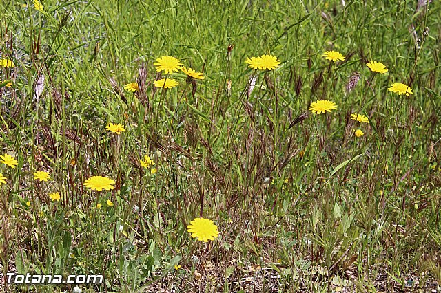 Jornada de convivencia Hermandades y Cofradas - Domingo 19 de abril 2015 - 51
