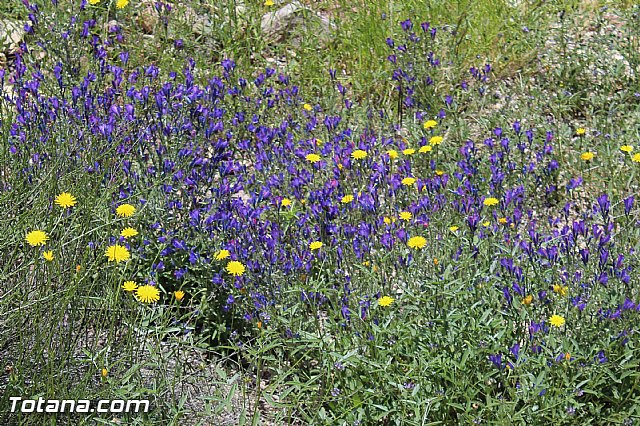 Jornada de convivencia Hermandades y Cofradas - Domingo 19 de abril 2015 - 53