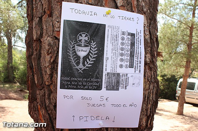 Jornada de convivencia Hermandades y Cofradas - Domingo 19 de abril 2015 - 115