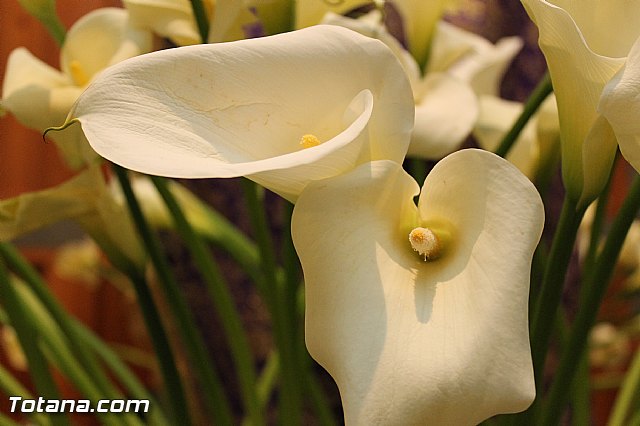 Procesin penitencial Lunes Santo 2013 - 20
