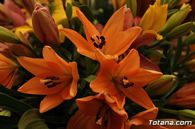 Procesin penitencial Lunes Santo 2013 - 28