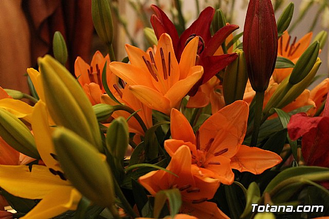 Procesin penitencial Lunes Santo 2013 - 34
