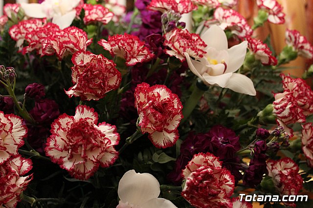 Procesin penitencial Lunes Santo 2017 - 8