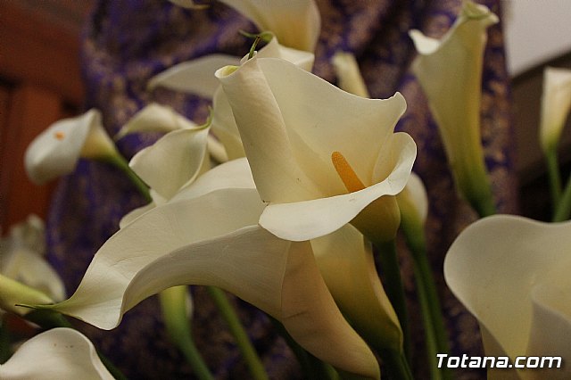 Procesin penitencial Lunes Santo 2017 - 15