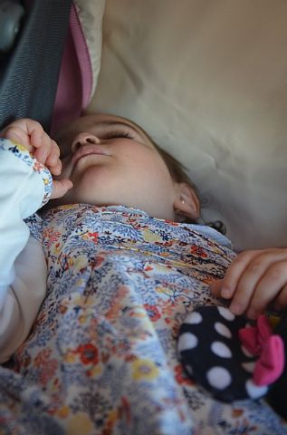 Comida gala Hermandad de Santa Mara Magdalena 2018 - 147