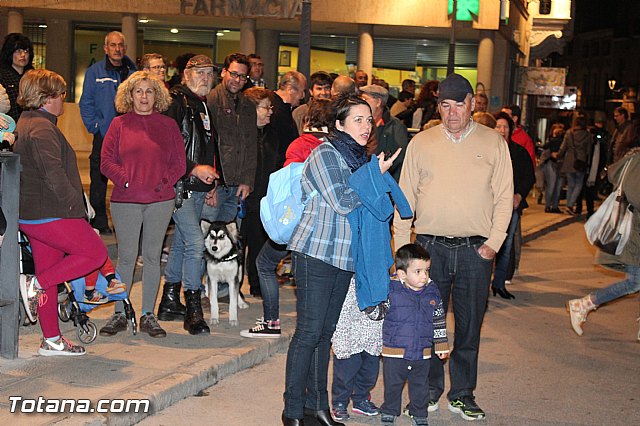 Concentracin contra la lnea de alta tensin - 29