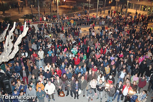 Concentracin contra la lnea de alta tensin - 64
