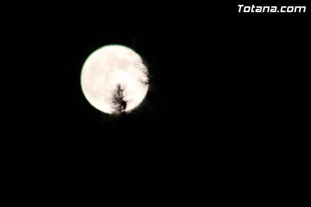 Festival de danza Manoli Cnovas 2013 - 397