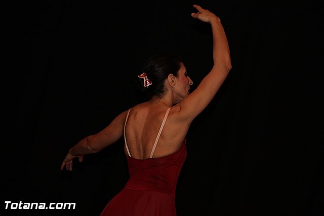 Festival de Danza Manoli Cnovas 2016 - 337