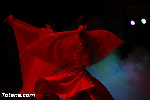 Festival de Danza Manoli Cnovas 2016 - 356