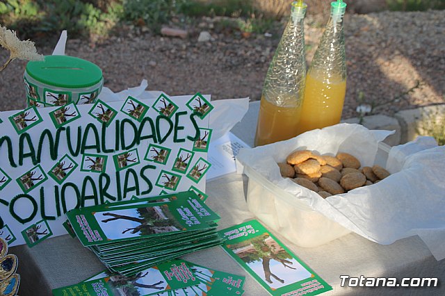 XII Marcha Solidaria de Totana - 12