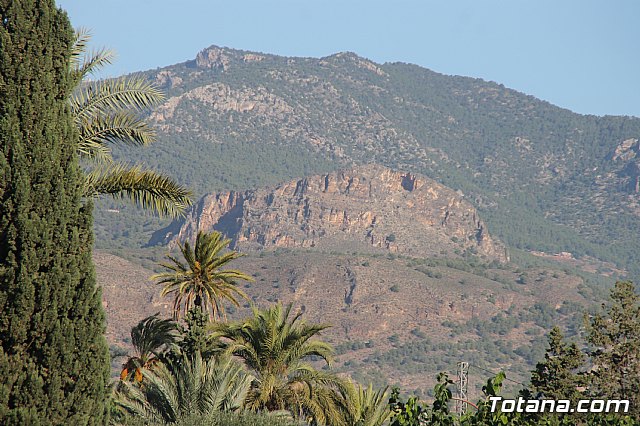 XII Marcha Solidaria de Totana - 47