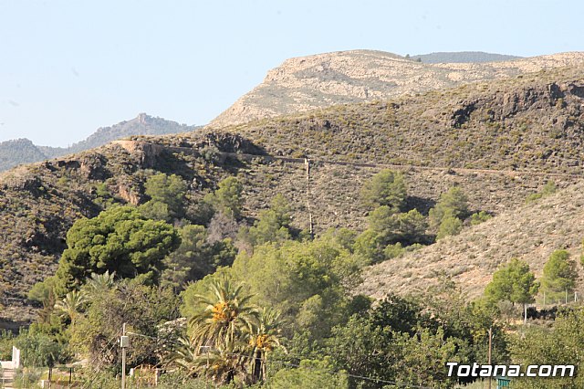 XII Marcha Solidaria de Totana - 98