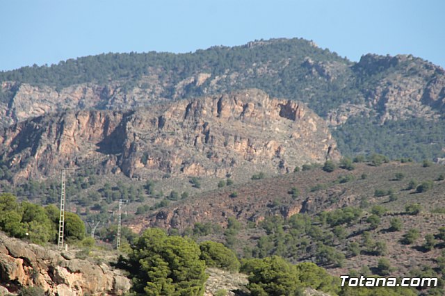 XII Marcha Solidaria de Totana - 99