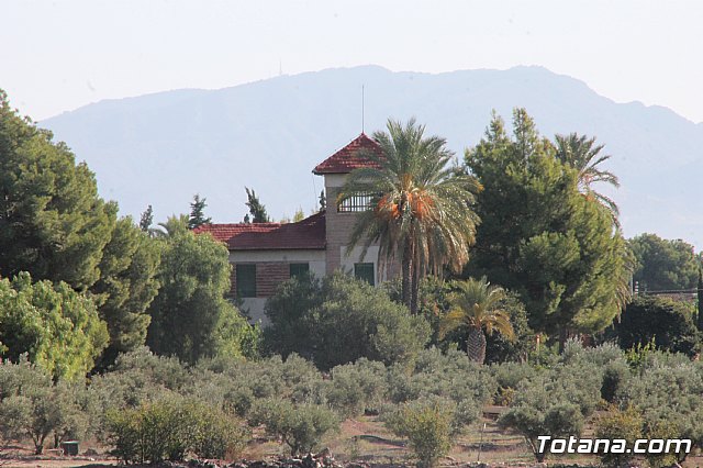 XII Marcha Solidaria de Totana - 100