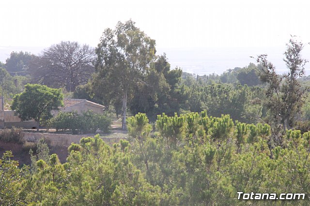 XII Marcha Solidaria de Totana - 101