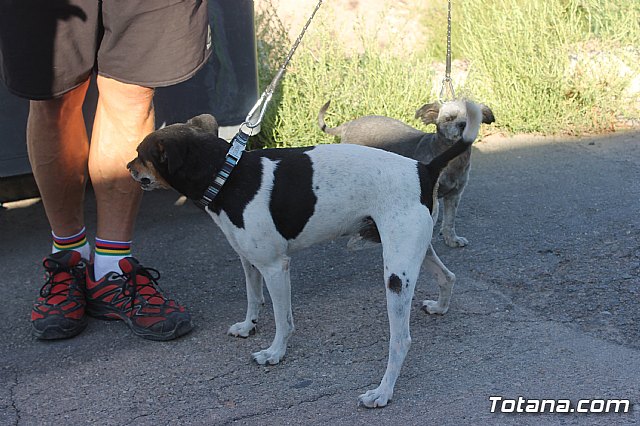 XIII Marcha Solidaria - Club Senderista de Totana 2019 - 39