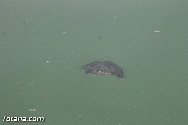 XI Marcha Solidaria Senderista  - 147