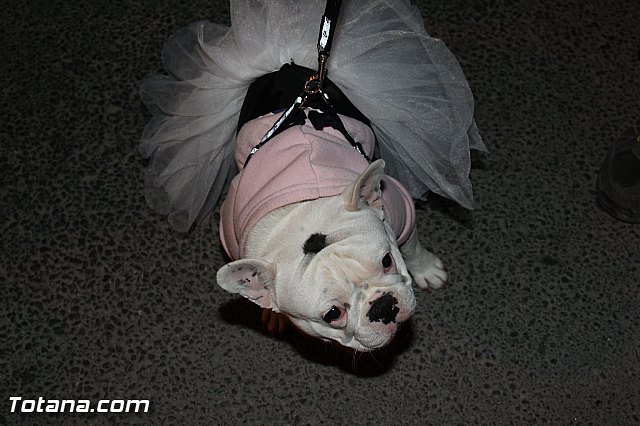 Martes de Carnaval - Noche de las mscaras 2016 - 408