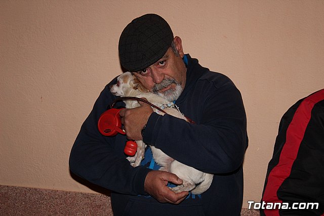 Mscaras Martes de Carnaval - Carnavales de Totana 2018 - 412