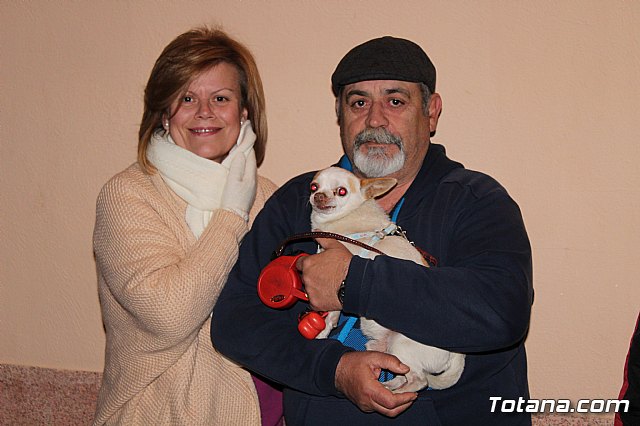 Mscaras Martes de Carnaval - Carnavales de Totana 2018 - 415