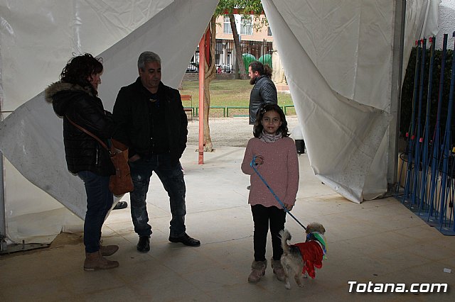 II Concurso de Disfraces para Mascotas - Carnaval 2018 - 4