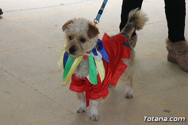 II Concurso de Disfraces para Mascotas - Carnaval 2018 - 5