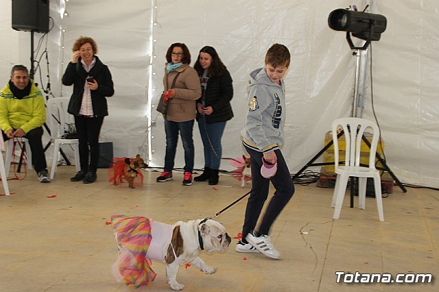 II Concurso de Disfraces para Mascotas - Carnaval 2018 - 15