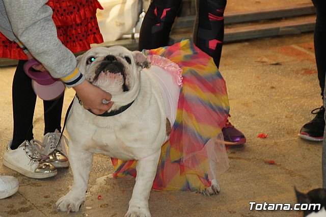 II Concurso de Disfraces para Mascotas - Carnaval 2018 - 24