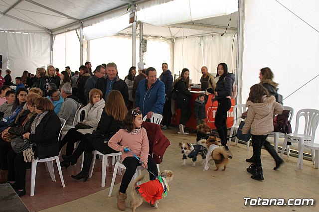 II Concurso de Disfraces para Mascotas - Carnaval 2018 - 28