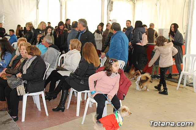 II Concurso de Disfraces para Mascotas - Carnaval 2018 - 29