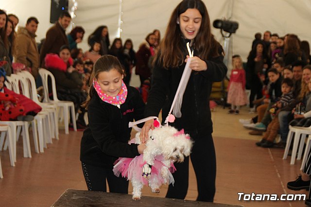 II Concurso de Disfraces para Mascotas - Carnaval 2018 - 37
