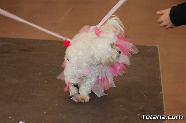 II Concurso de Disfraces para Mascotas - Carnaval 2018 - 38