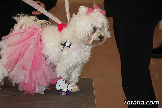 II Concurso de Disfraces para Mascotas - Carnaval 2018 - 40