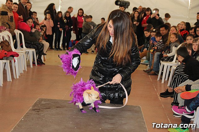 II Concurso de Disfraces para Mascotas - Carnaval 2018 - 44