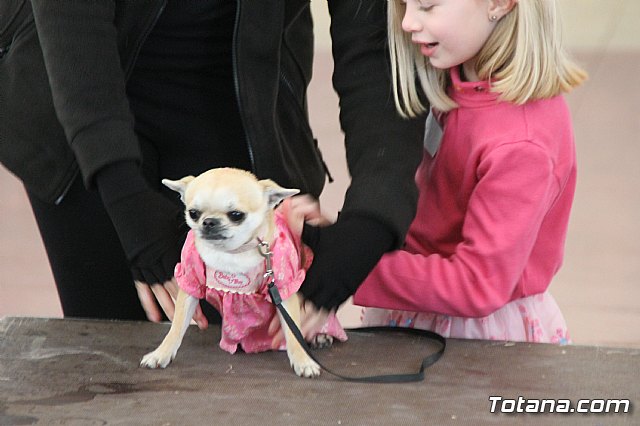 II Concurso de Disfraces para Mascotas - Carnaval 2018 - 48