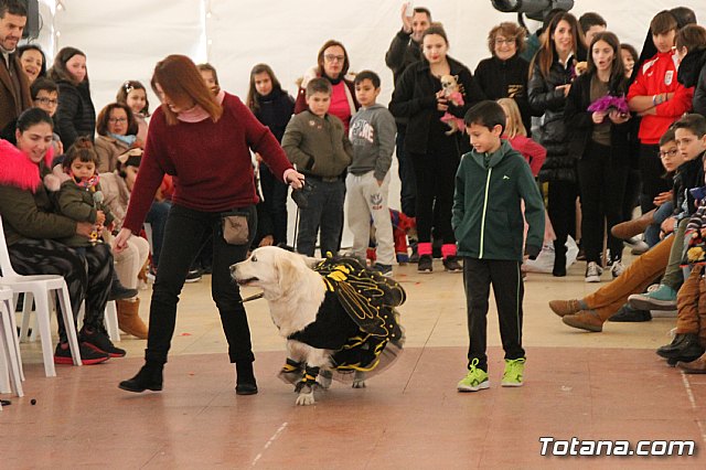 II Concurso de Disfraces para Mascotas - Carnaval 2018 - 49