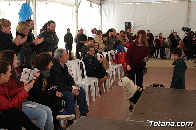 II Concurso de Disfraces para Mascotas - Carnaval 2018 - 51