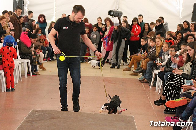 II Concurso de Disfraces para Mascotas - Carnaval 2018 - 54